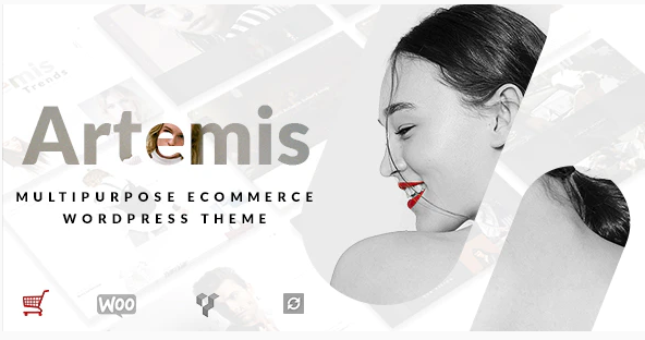 Artemis WordPress ecommerce theme